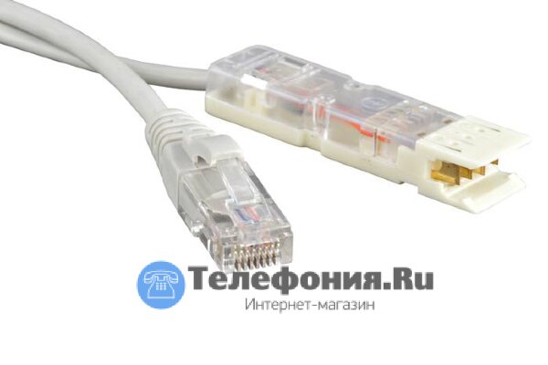 Патч-корд 110-RJ45, 2 пары, 2 м SINELLS SNL-110-45-2-2